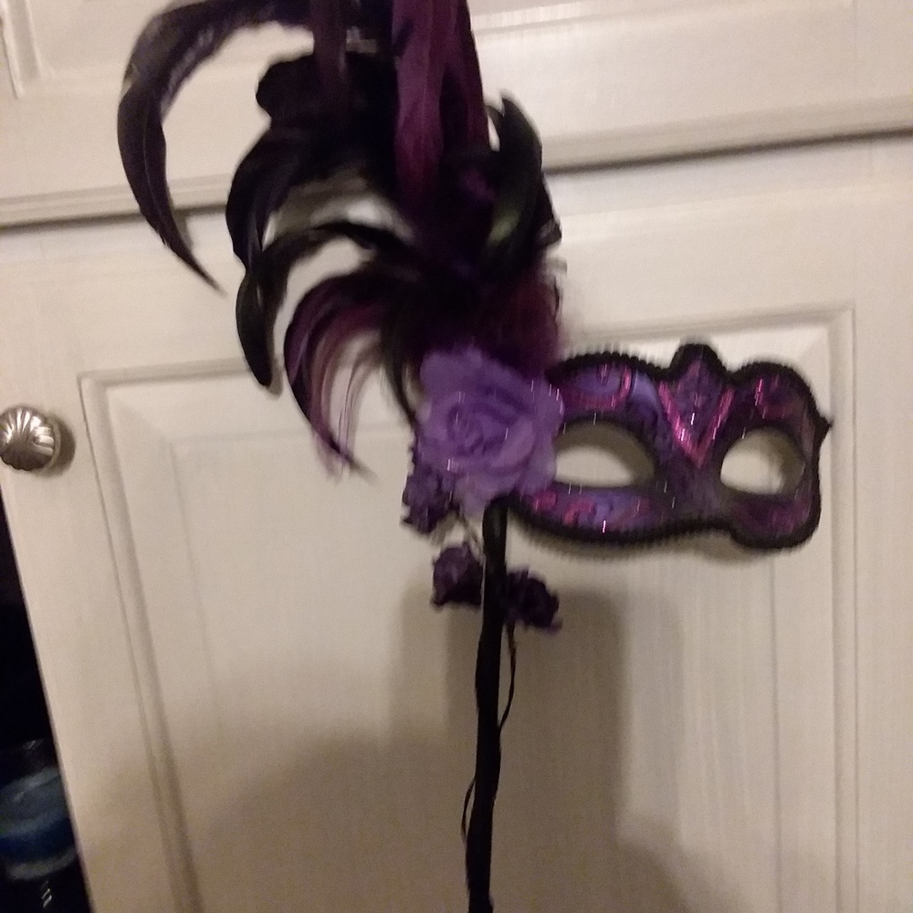 Masquerade Feather Mask